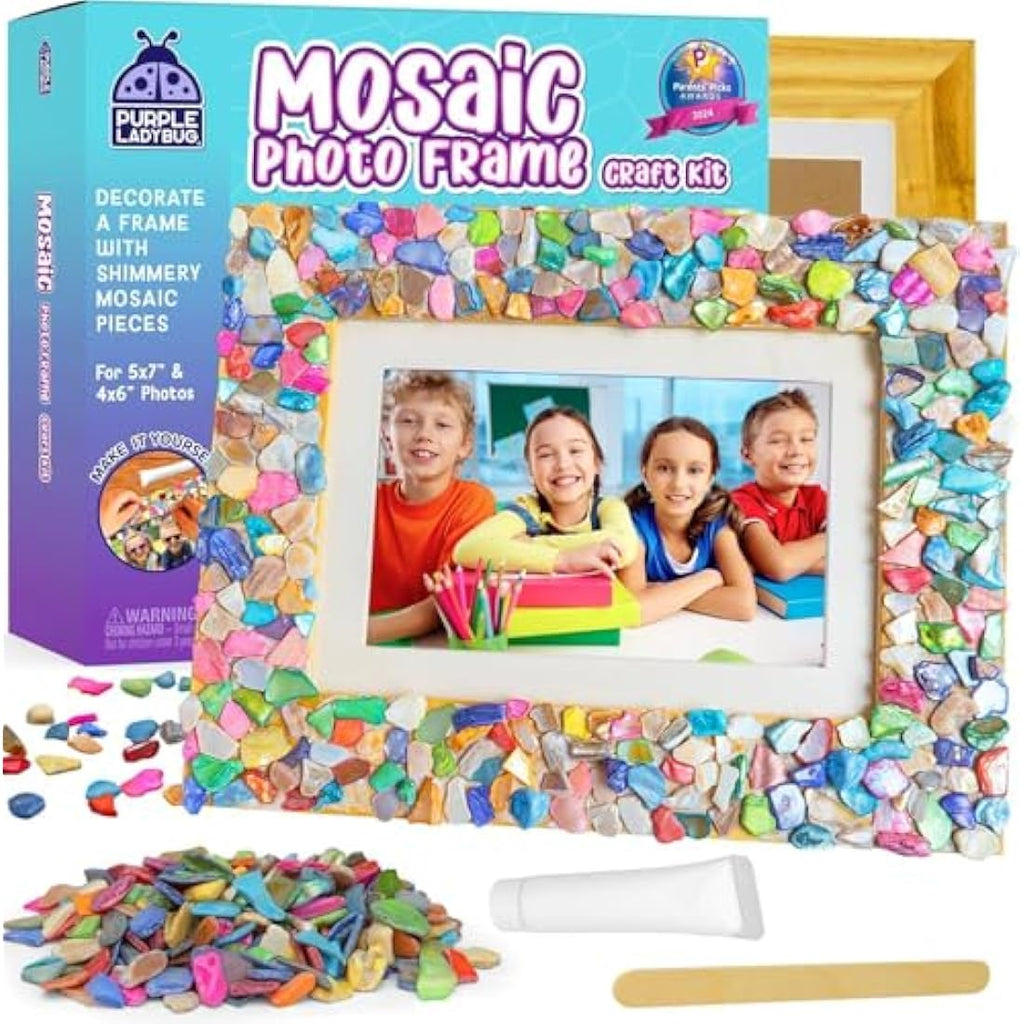 Purple Ladybug Mosaic Photo Frame Craft Kit for Kids Ages 6-12