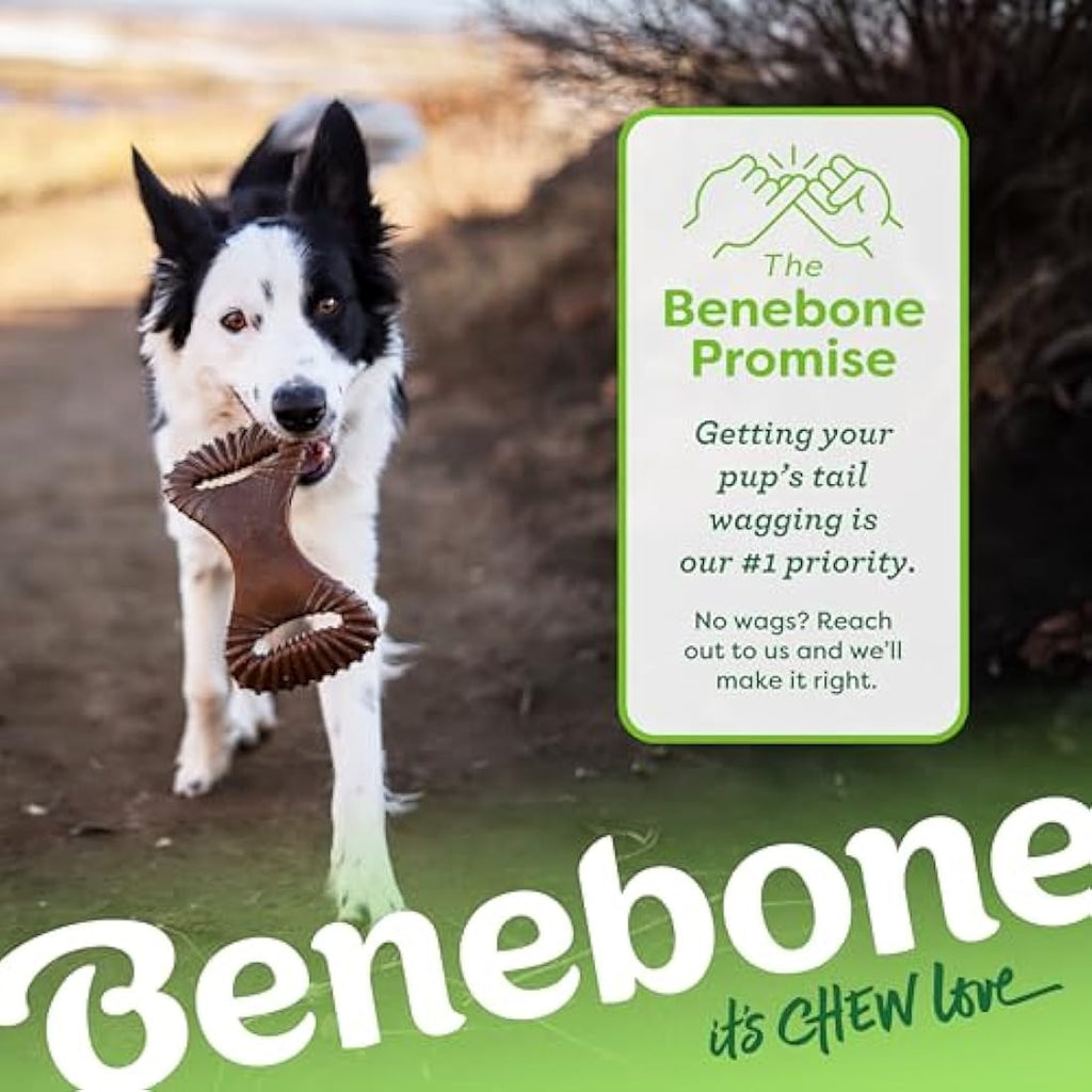 Benebone Dental Dog Chew Toy – Real Bacon Flavor Nylon for Small Dogs