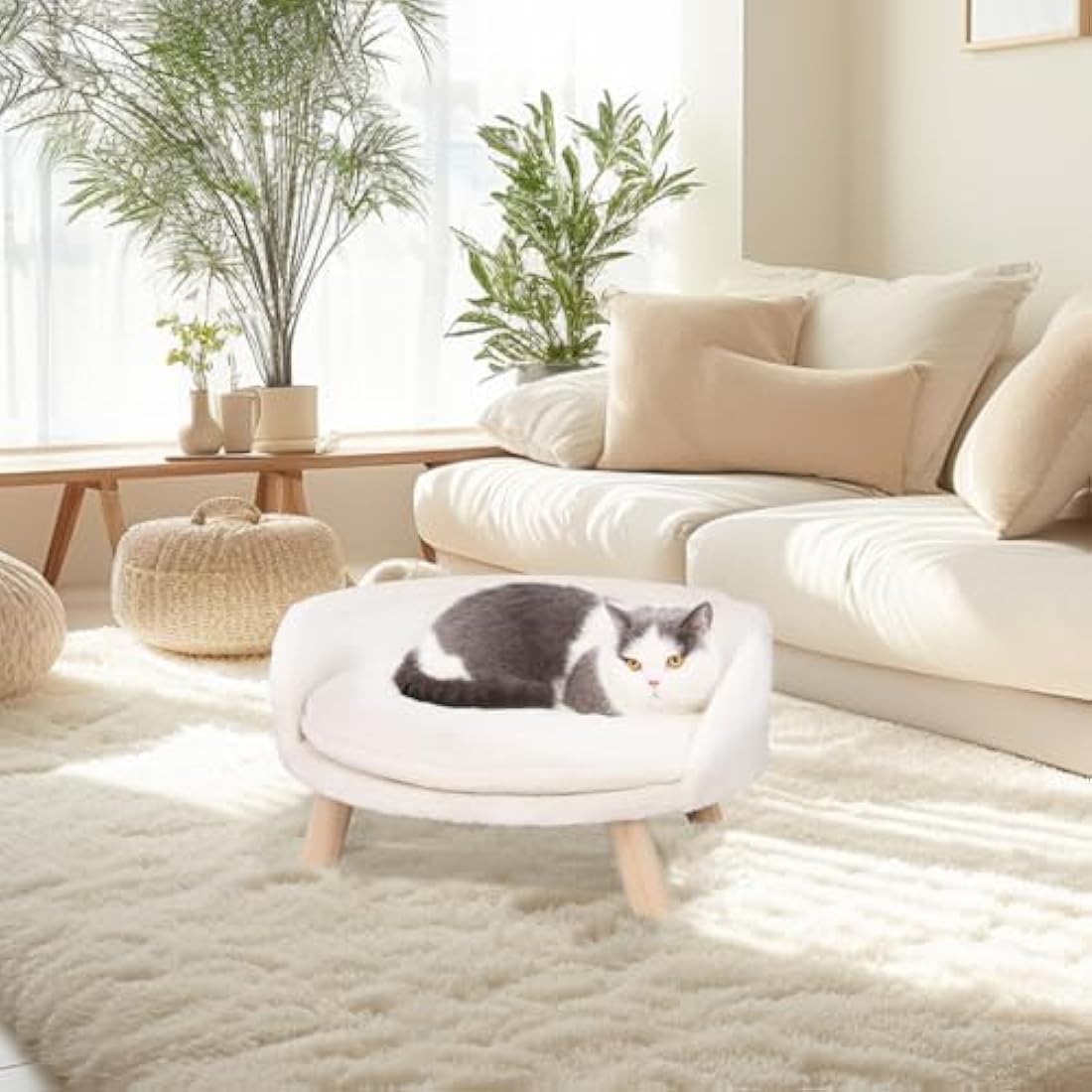 BingoPaw Elevated Cat Sofa Bed | Raised Wooden Pet Stool with Washable Mat