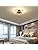 GLADFRESIT Industrial 5-Light Metal Cage Semi-Flush Mount Chandelier