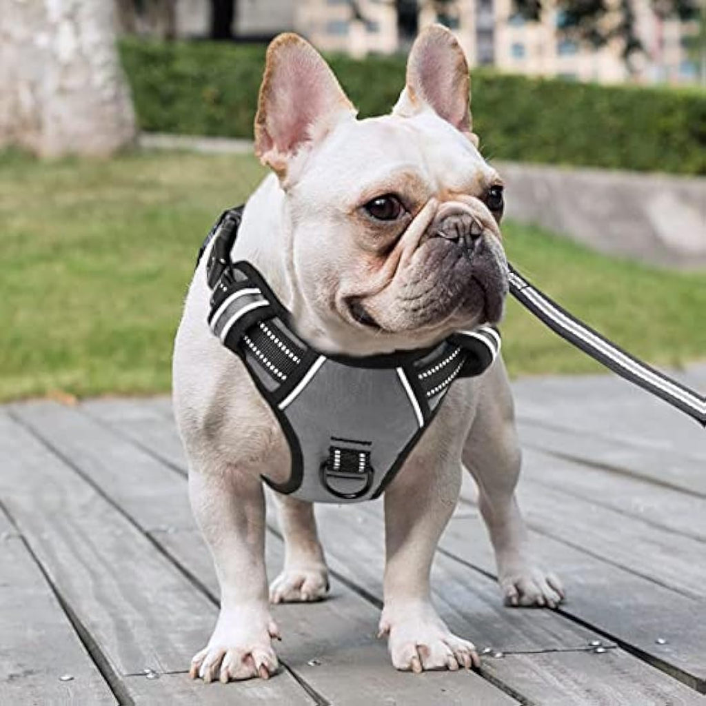 HEELE No Pull Dog Harness – Reflective Padded Training Vest, Grey, M