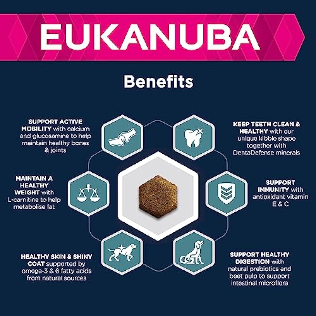 Eukanuba Adult Large Breed Dry Dog Food – Salmon & Barley, 12 kg