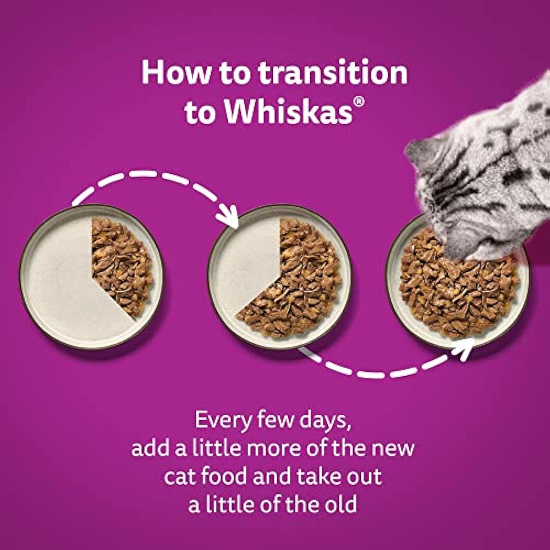 Whiskas Tasty Mix Catch of the Day Wet Cat Food in Gravy - 48 Pouches