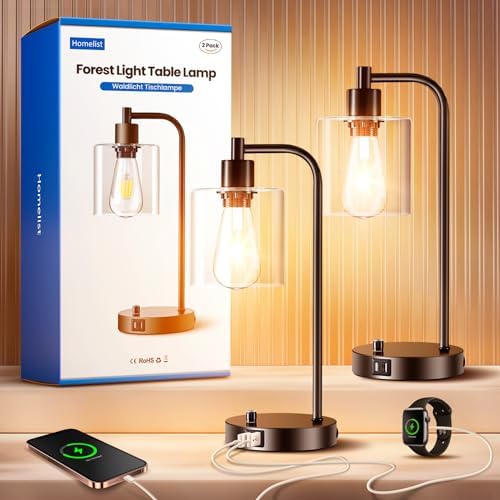 Homelist Industrial Dimmable Bedside Lamps Set of 2 with USB Ports