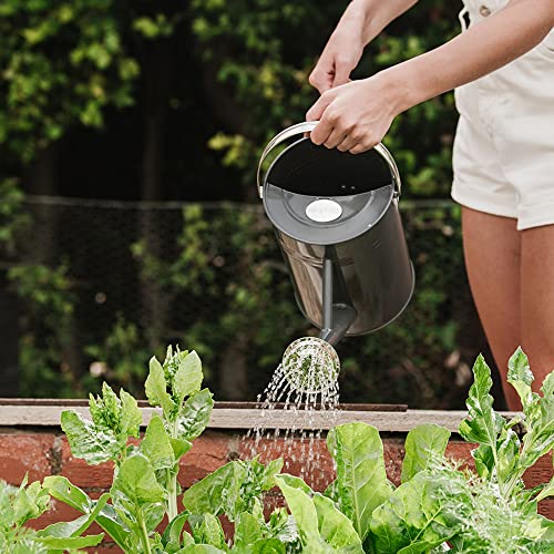 Kent & Stowe 4.5L Vintage Watering Can – Stone Grey Galvanised Steel