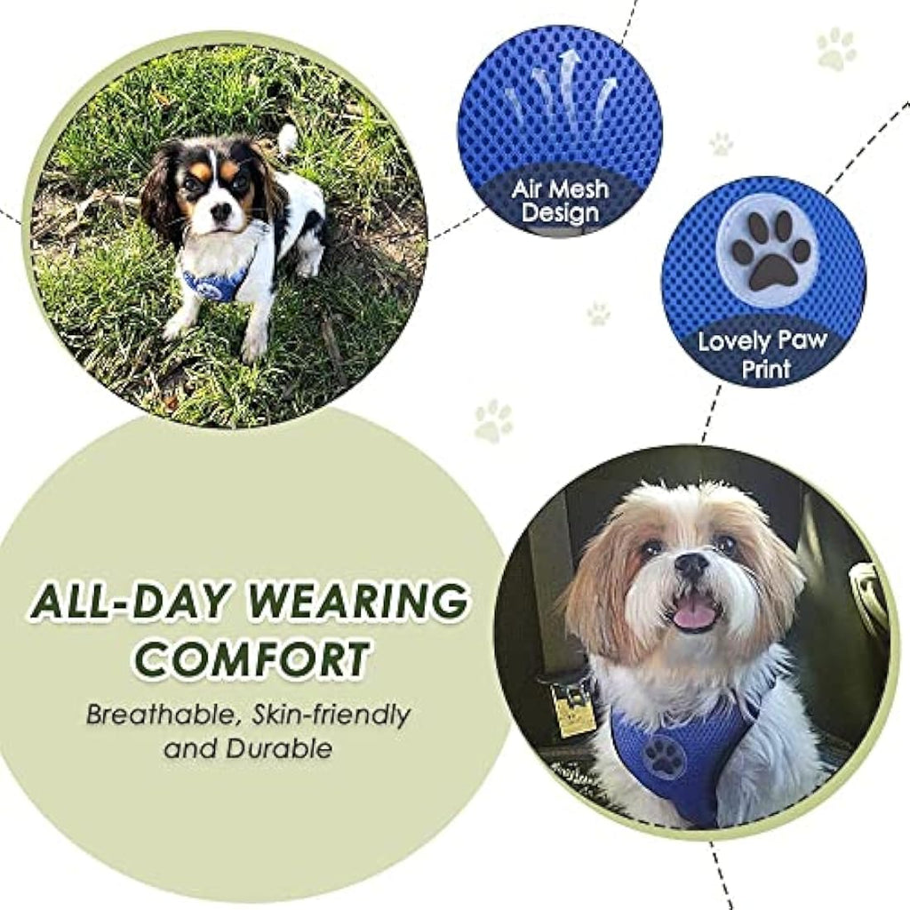 SlowTon Dog Car Harness and Seatbelt Set | Breathable Mesh Safety Vest