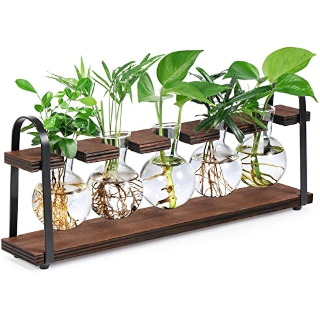 Jolof Store Retro Plant Propagation Station | Glass Bulb Vase Terrarium