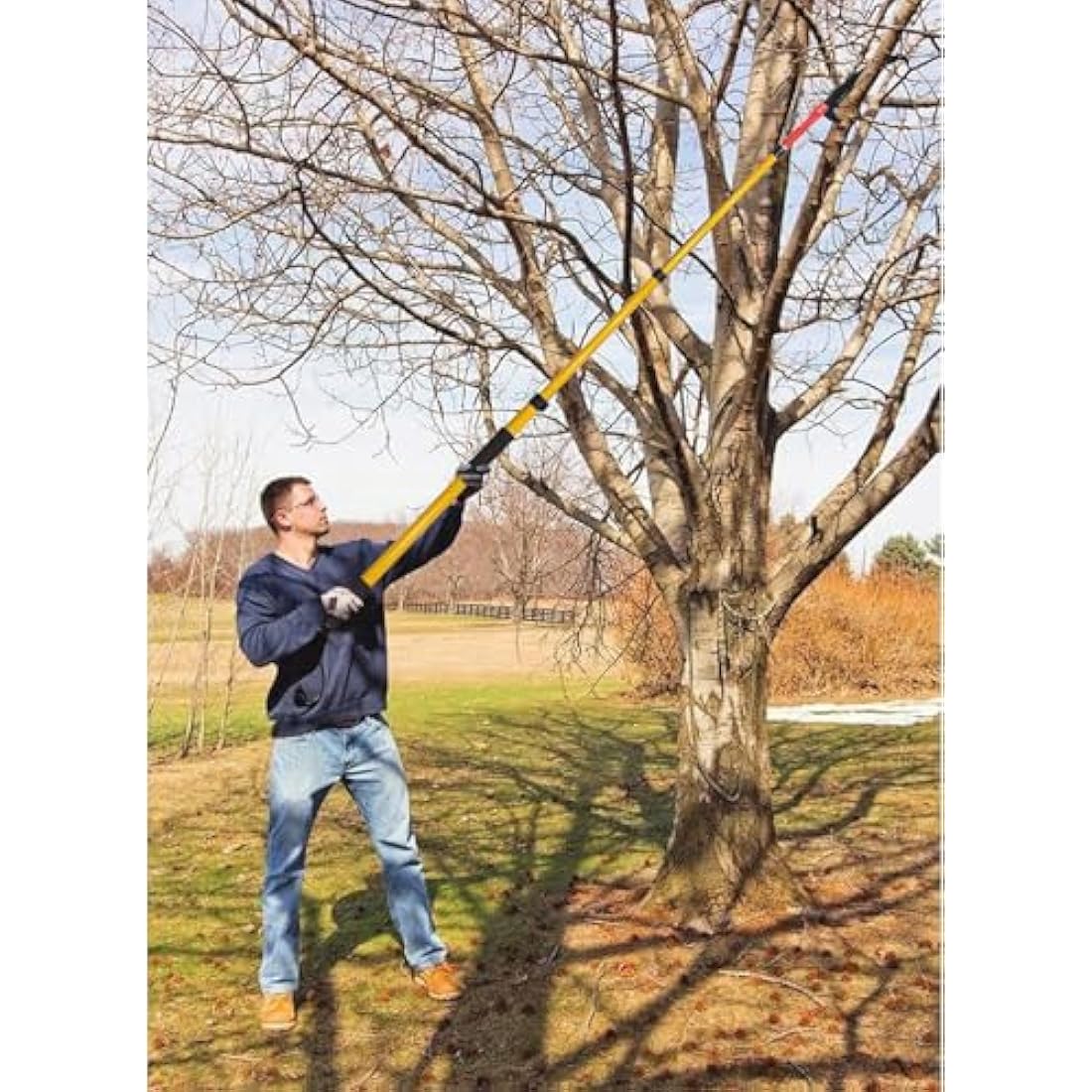 Sunorchid 14 Foot Telescopic Pole Saw | Extendable Tree Pruner for Trimming
