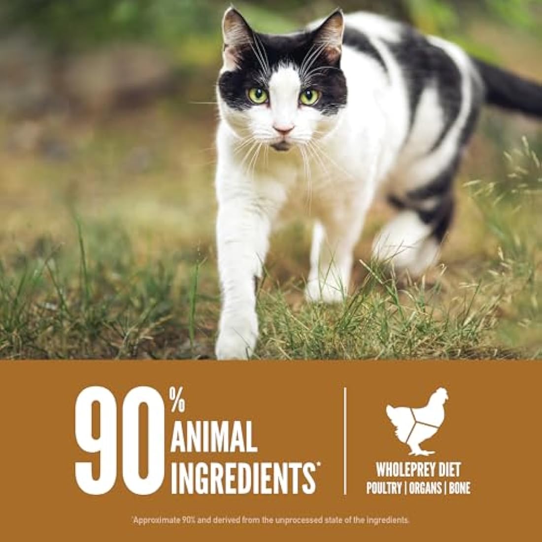 ORIJEN Grain-Free Dry Cat Food | High Protein Chicken & Turkey Recipe