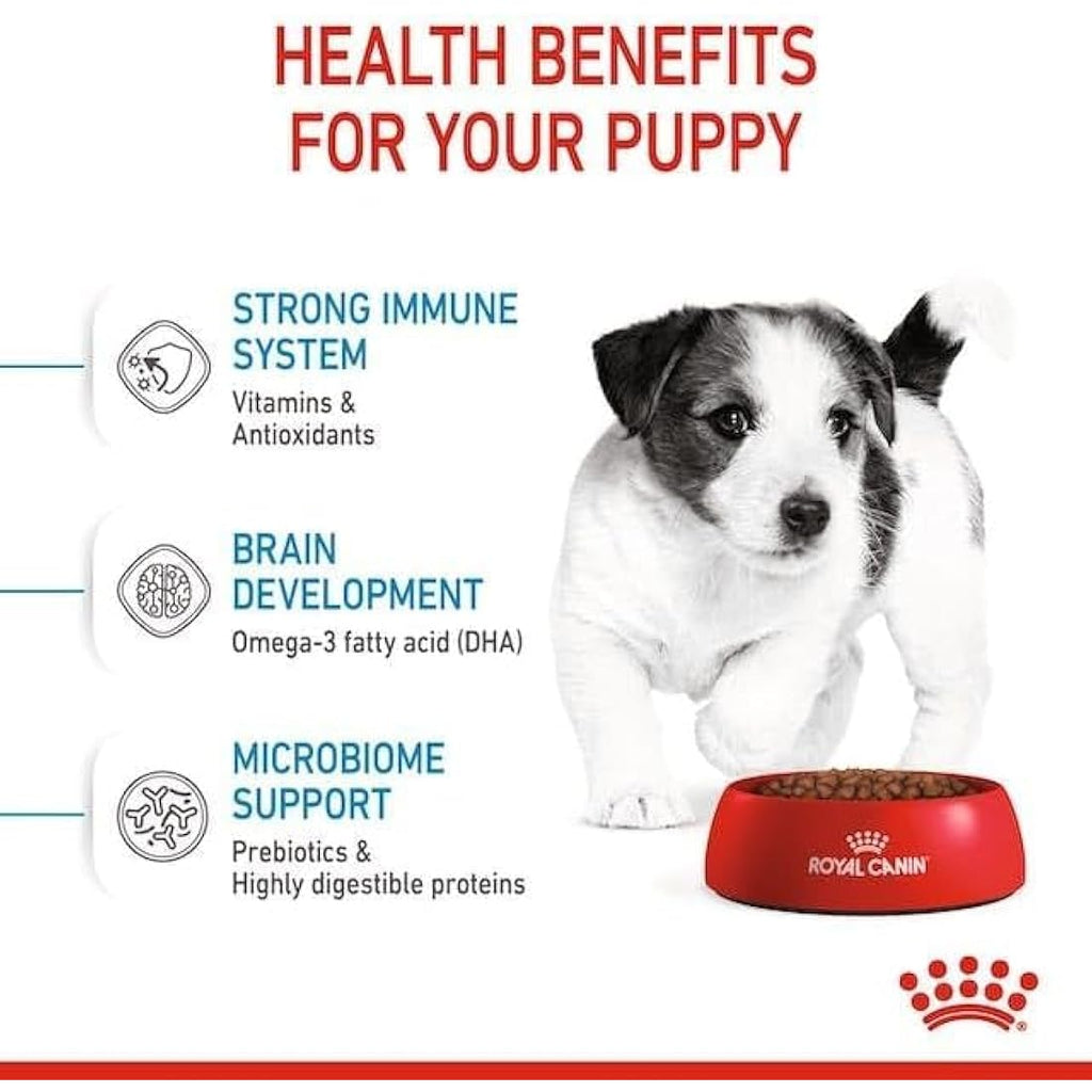 Royal Canin Mini Puppy Dry Dog Food – Small Breed Kibble, 800g
