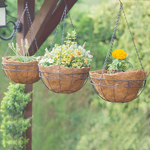 Relaxdays Set of 3 Coconut Hanging Planters – 35cm Iron Flower Baskets