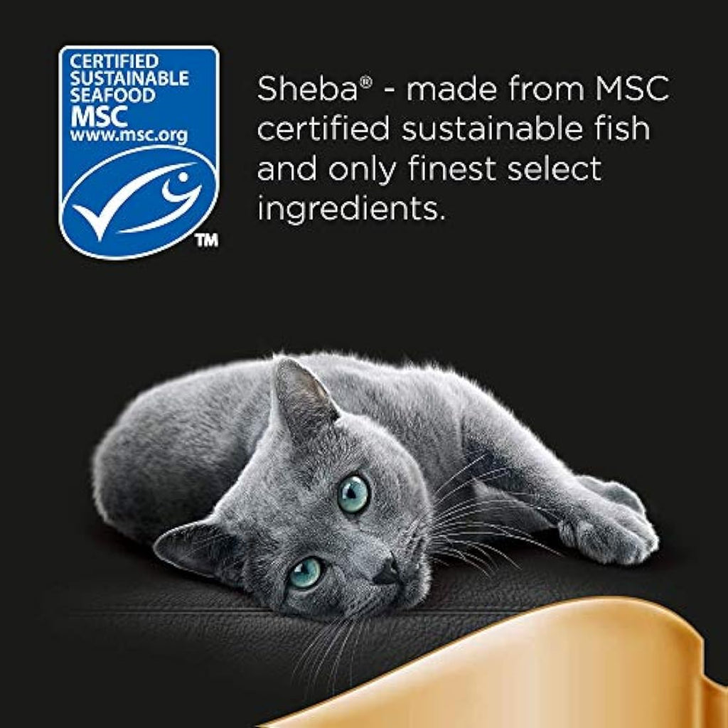 Sheba Fresh Choice Fish Collection in Gravy Wet Cat Food - 45 x 50g