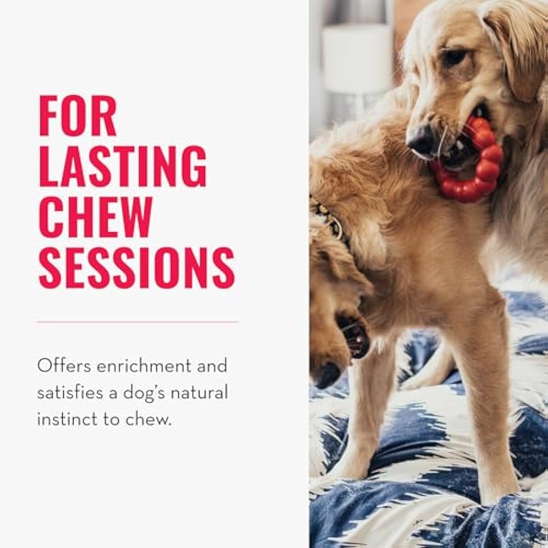 KONG Ring Durable Natural Rubber Dog Chew Toy for Medium/Large Dogs