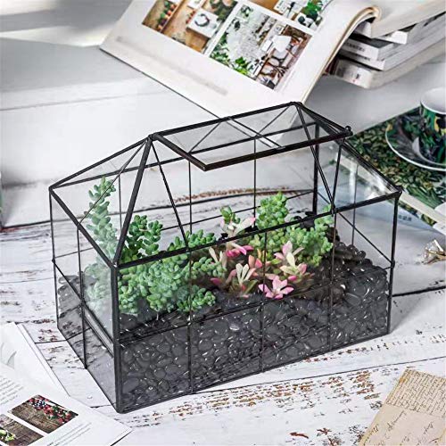 NCYP Geometric Glass Terrarium – House Shape Indoor Succulent Planter