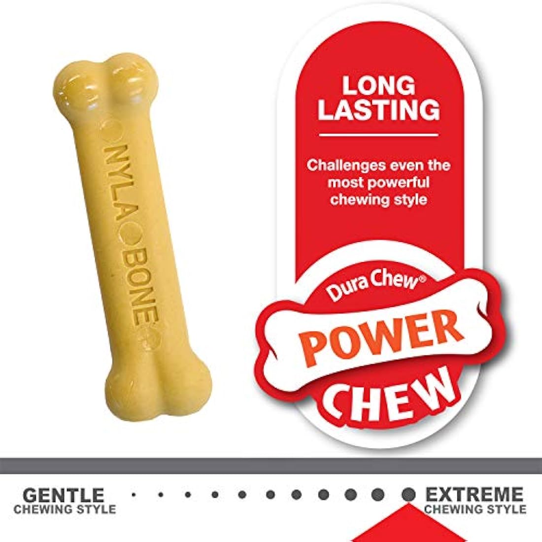 Nylabone Puppy Teething Chew Toy Bones | Chicken & Peanut Butter | 2-Pack