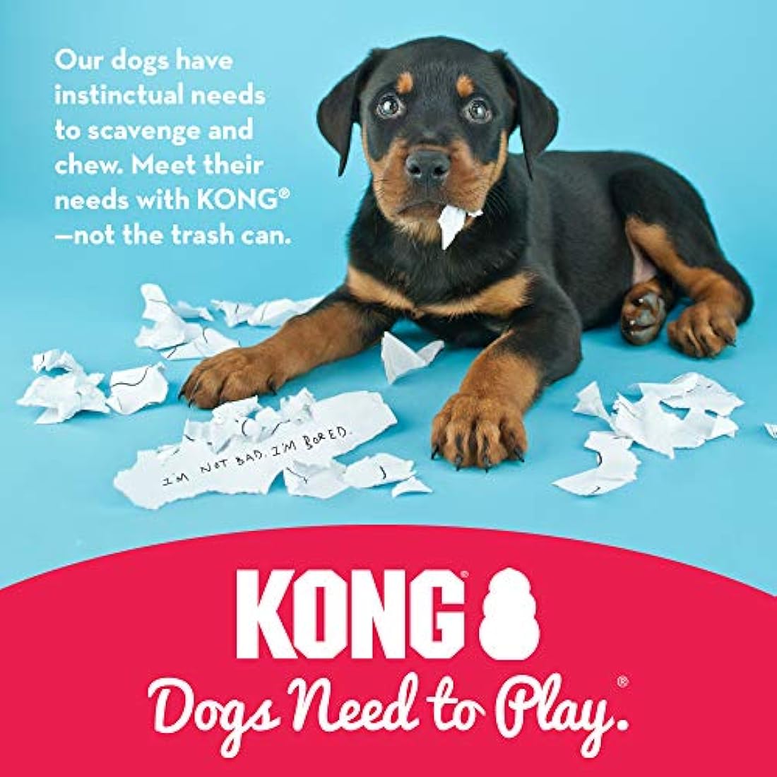 KONG Puppy Natural Rubber Teething Toy – Durable Stuffable Chew Toy