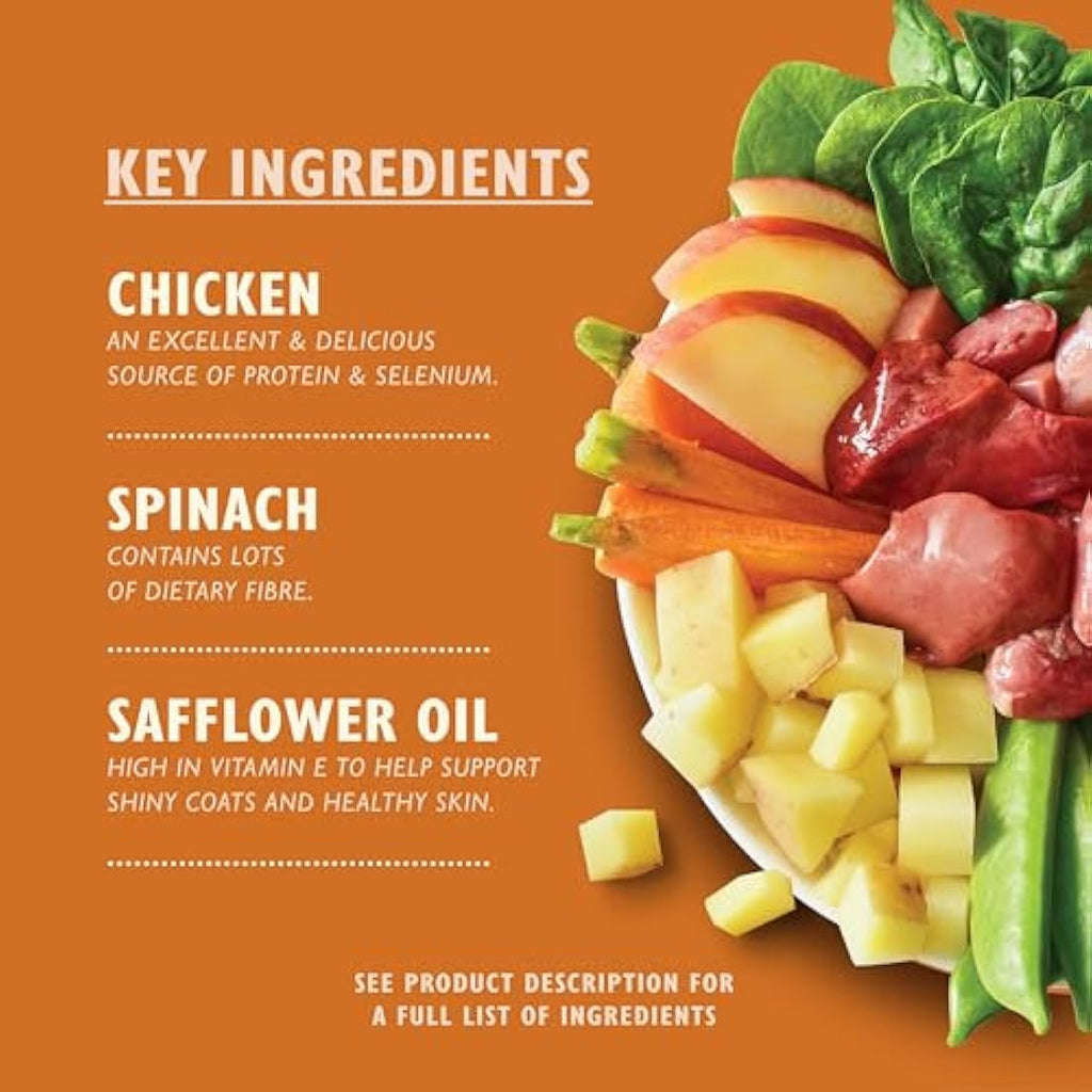 Lily's Kitchen Grain-Free Wet Dog Food Multipack – 6 x 150g Trays