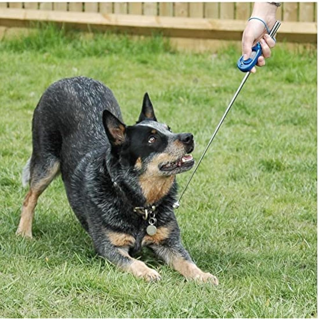 Company of Animals Multi-Clicker | Adjustable Dog Training Clicker