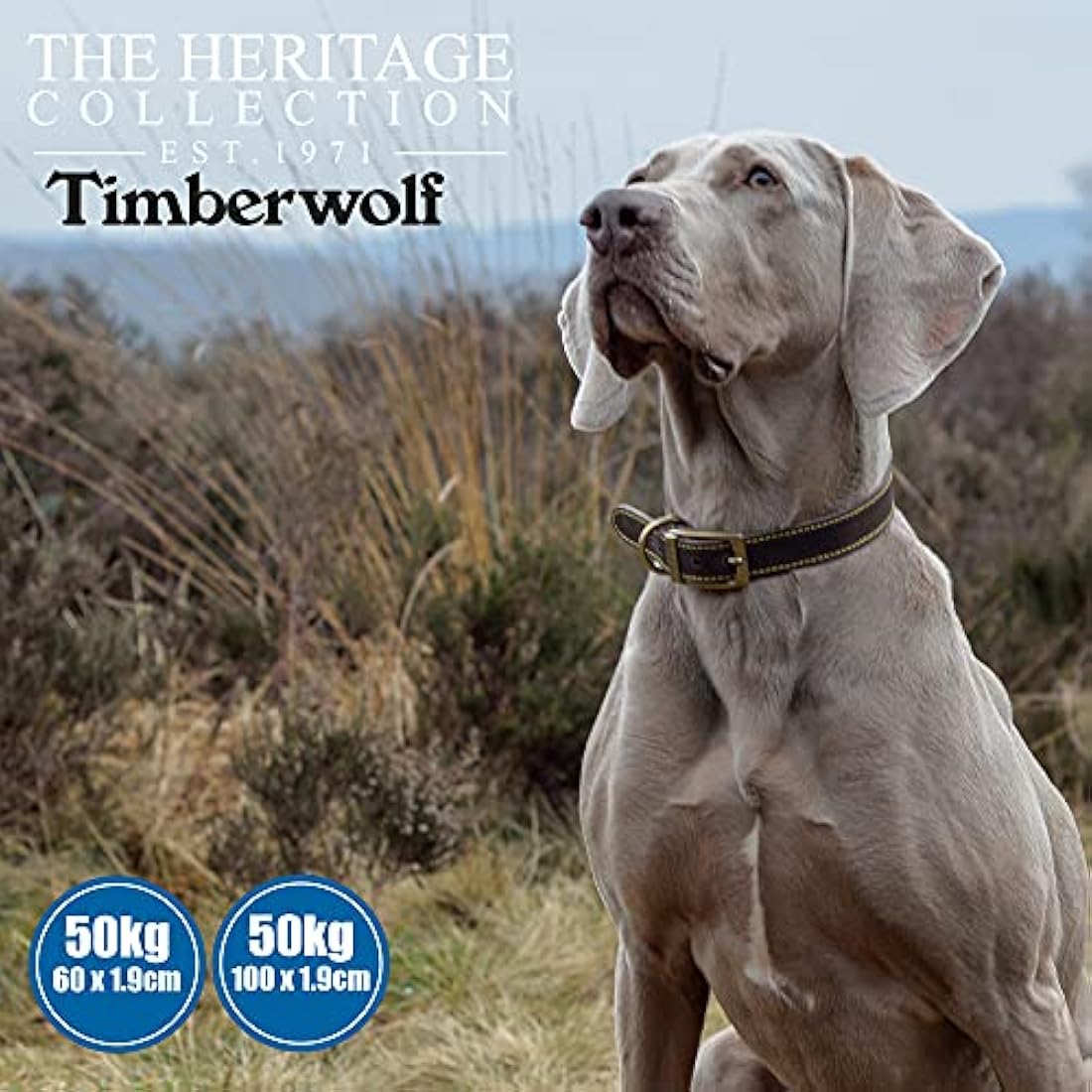 Ancol Timberwolf Sable Leather Dog Lead – Heavy Duty Handcrafted Leash