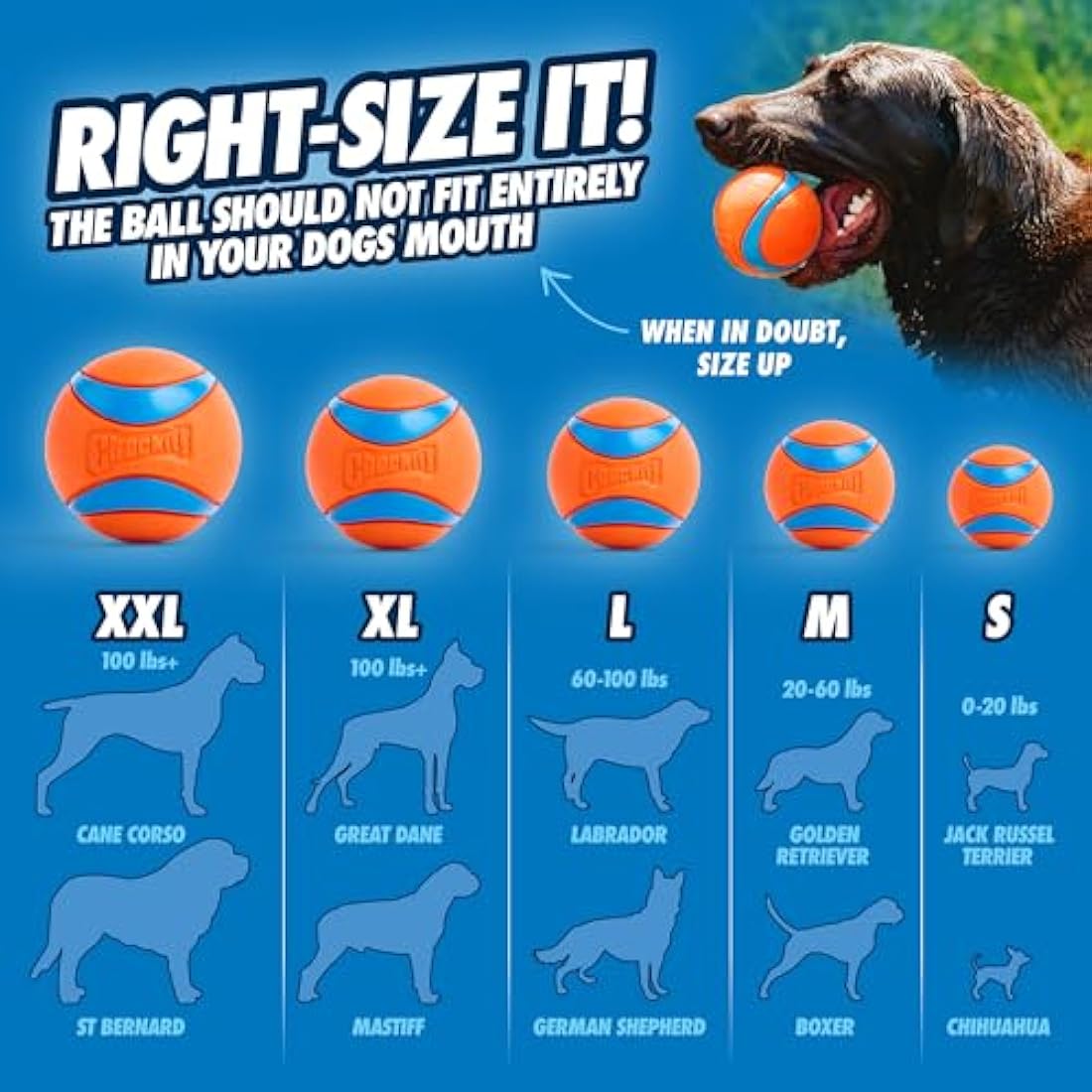 ChuckIt! Ultra Ball Durable Rubber Dog Toy - 8 Pack Medium with Bucket