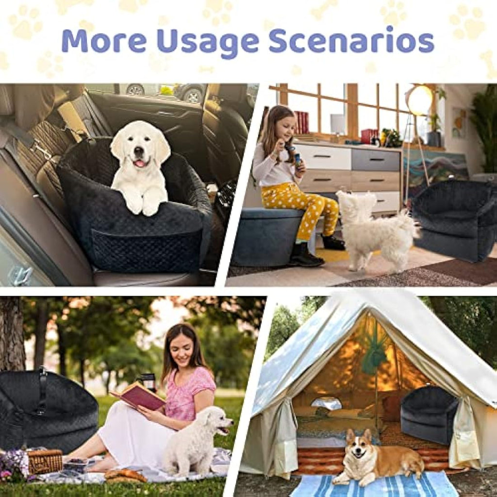 Dog Booster Seat | Small Dog Car Seat with Safety Leash