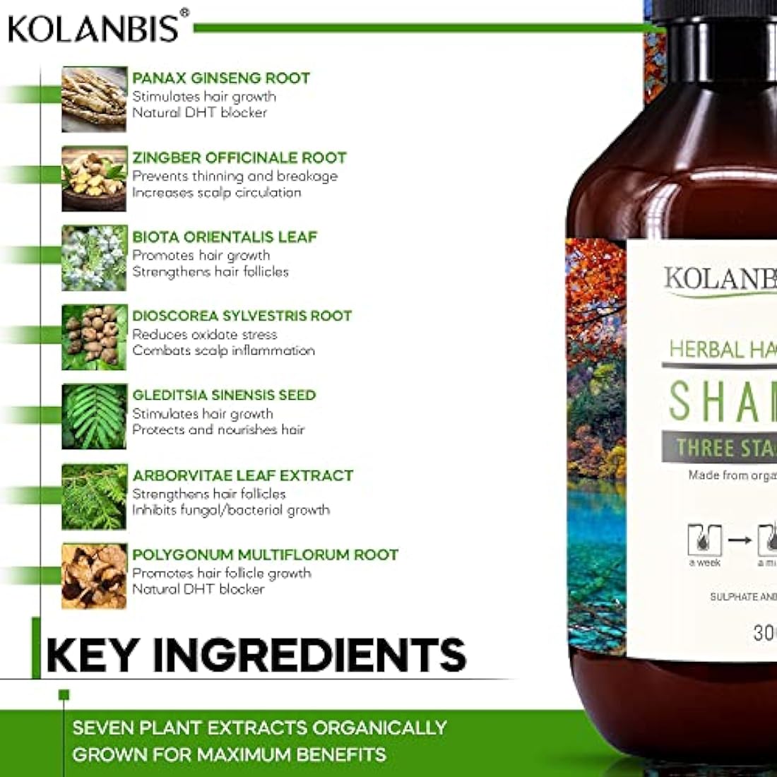 Kolanbis Natural Hair Growth Shampoo | Organic DHT Blocker for Hair Loss