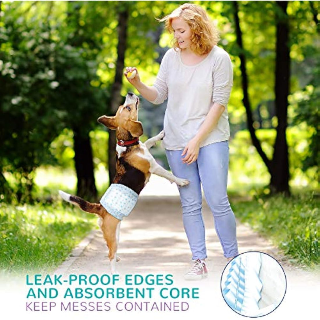Flying Paws Male Dog Wraps | XS Disposable Absorbent Nappies - 60 Pack