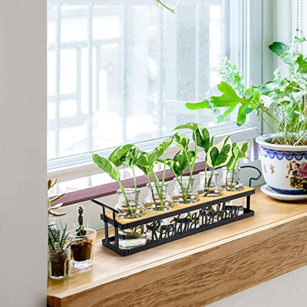 THYGIFTREE Plant Propagation Station | Metal Stand Glass Terrarium