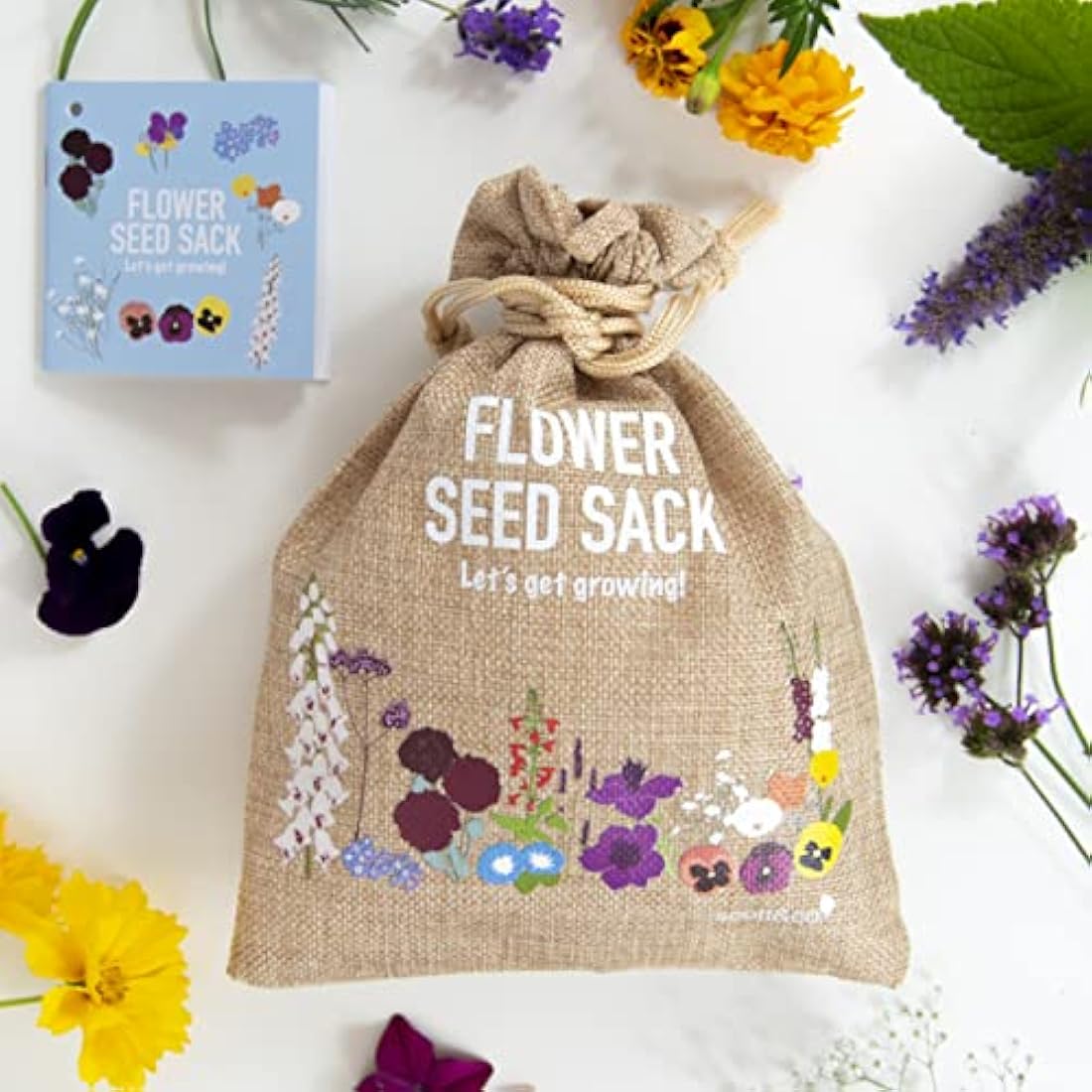 Scott&Co. Flower Seed Variety Pack | 30 Varieties for Bees & Butterflies