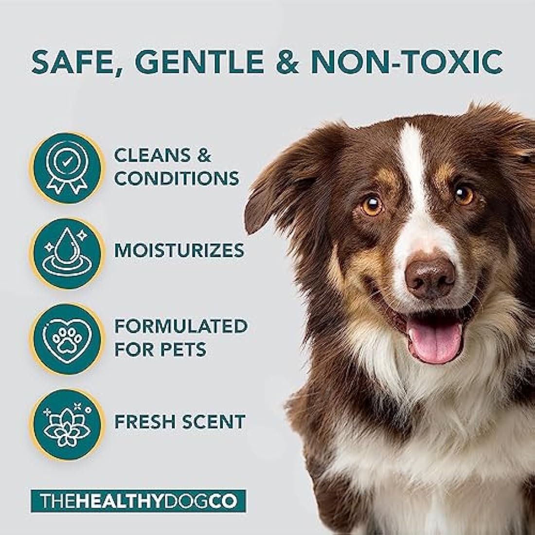 The Healthy Dog and Cat Co. Natural Flea Shampoo – Vegan Quassia Wash