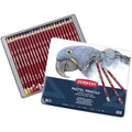 Derwent Pastel Pencils - Professional Drawing & Blending Set of 24