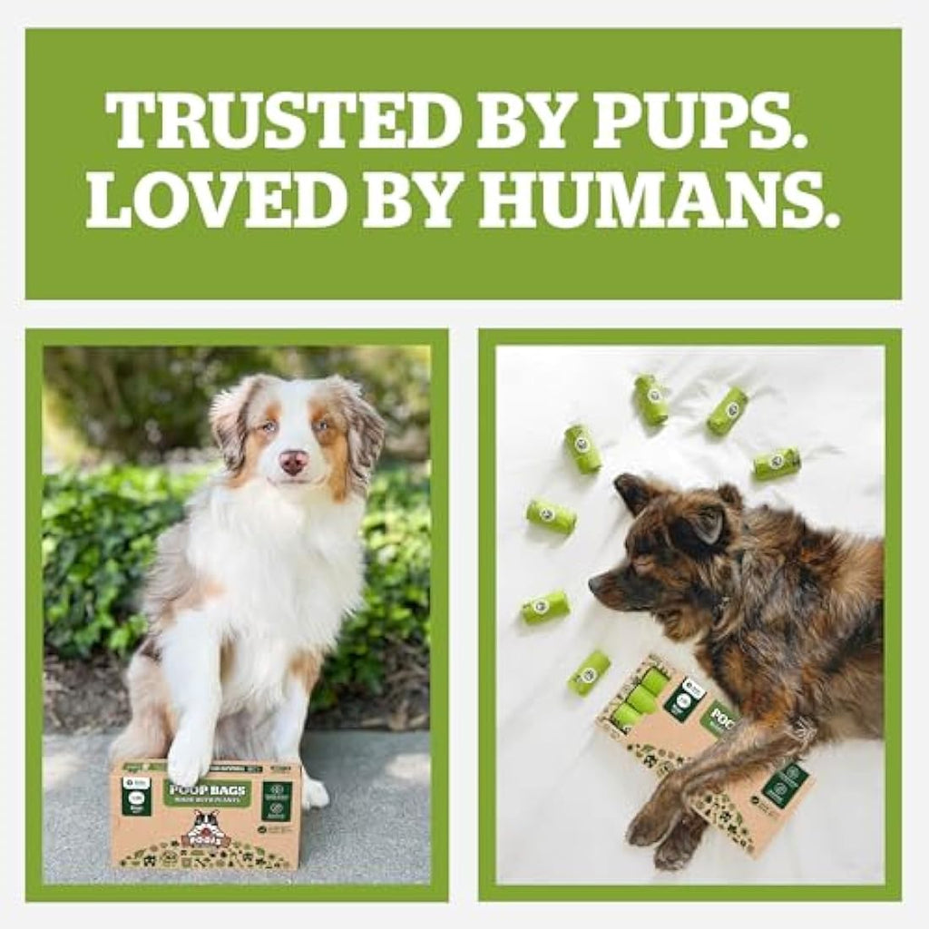 Pogi's Compostable Dog Poo Bags – Leak-Proof Plant-Based – 480 Bags
