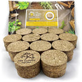 The Garden Gecko Cork Pot Feet – 24 Pack Sustainable Plant Pot Risers