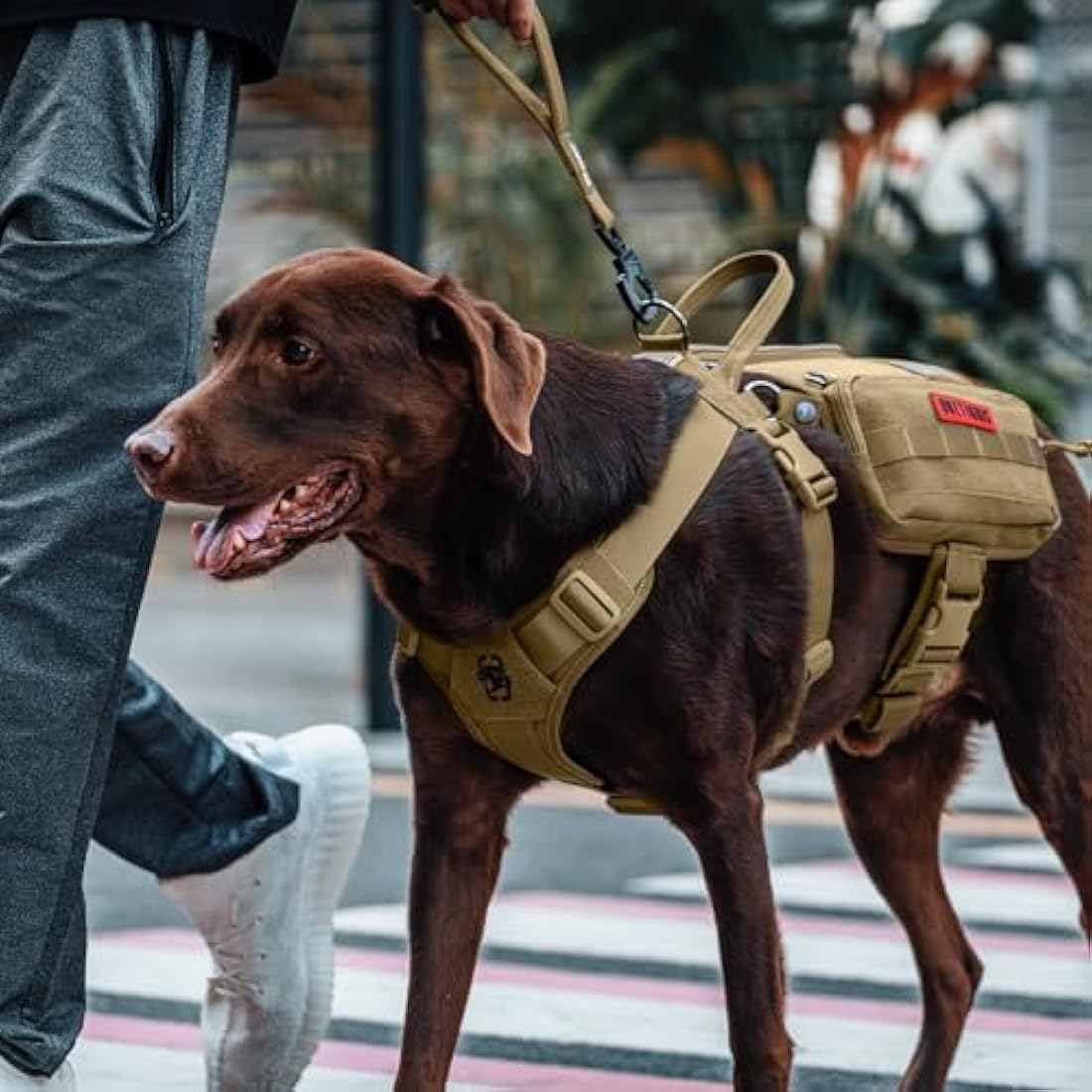 OneTigris Service Dog Vest Harness | Tactical Molle Dog Backpack - Brown
