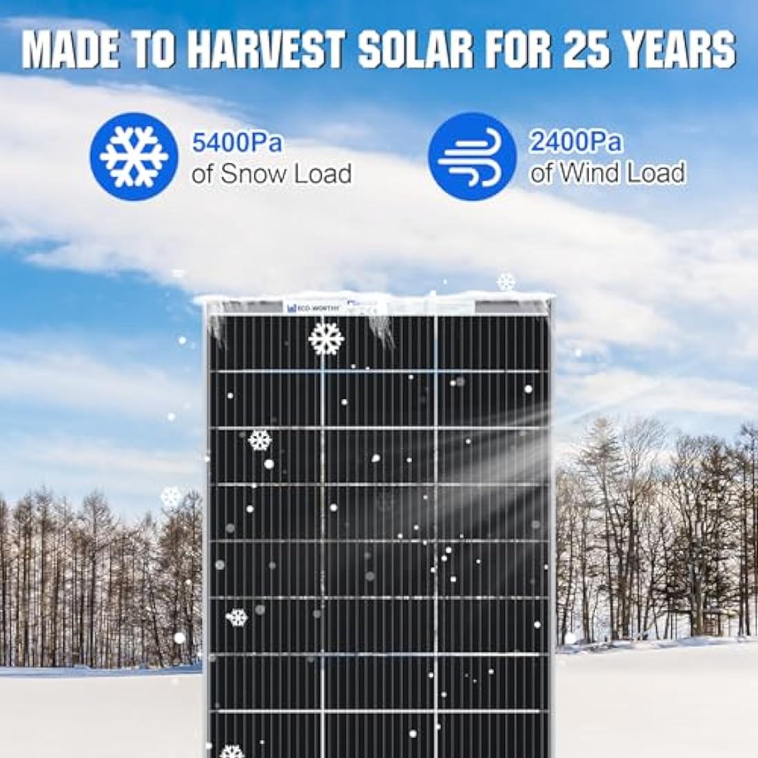 ECO-WORTHY 195W 12V Bifacial Monocrystalline Solar Panel for RV & Boat