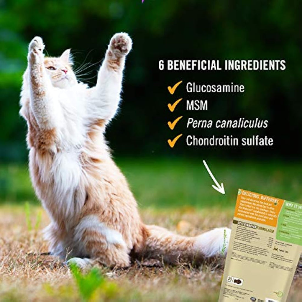 Pet Naturals Hip + Joint Support Supplement for Cats - 30 Chews