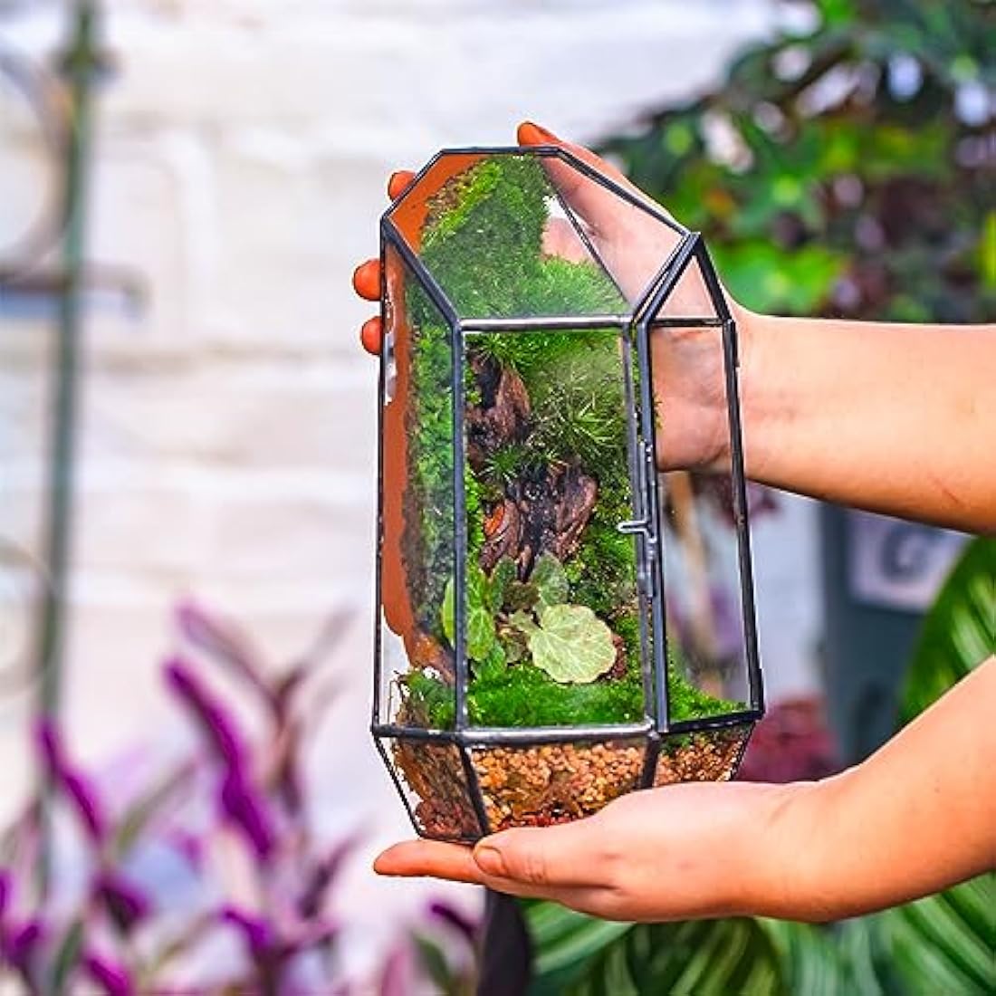 Geometric Glass Plant Terrarium – 22cm Modern Succulent Planter