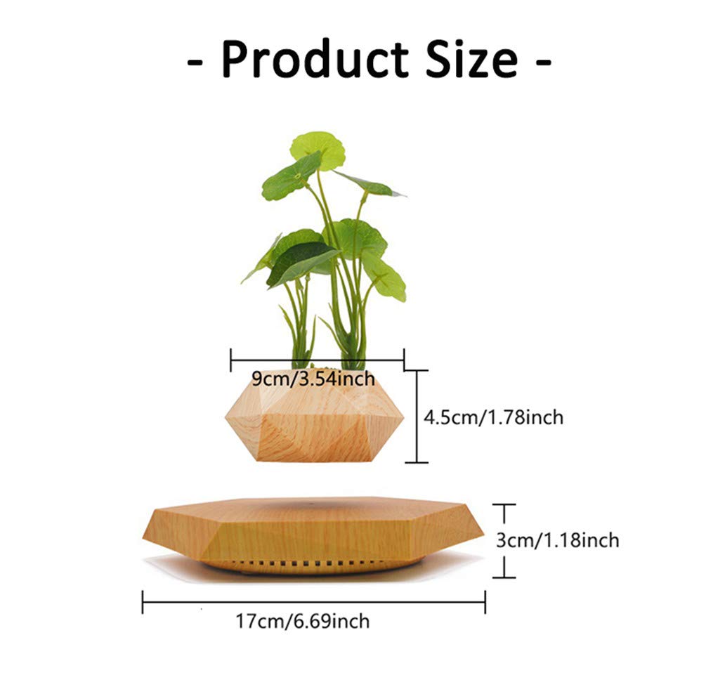 Jolof Store Magnetic Levitation Floating Air Bonsai Pot for Desk Decor