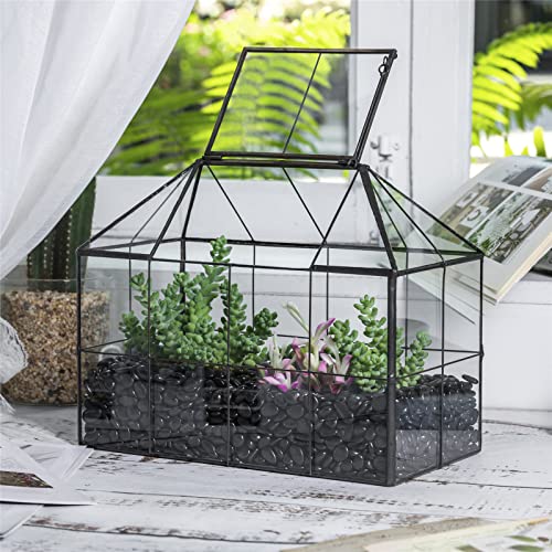 NCYP Geometric Glass Terrarium – House Shape Indoor Succulent Planter