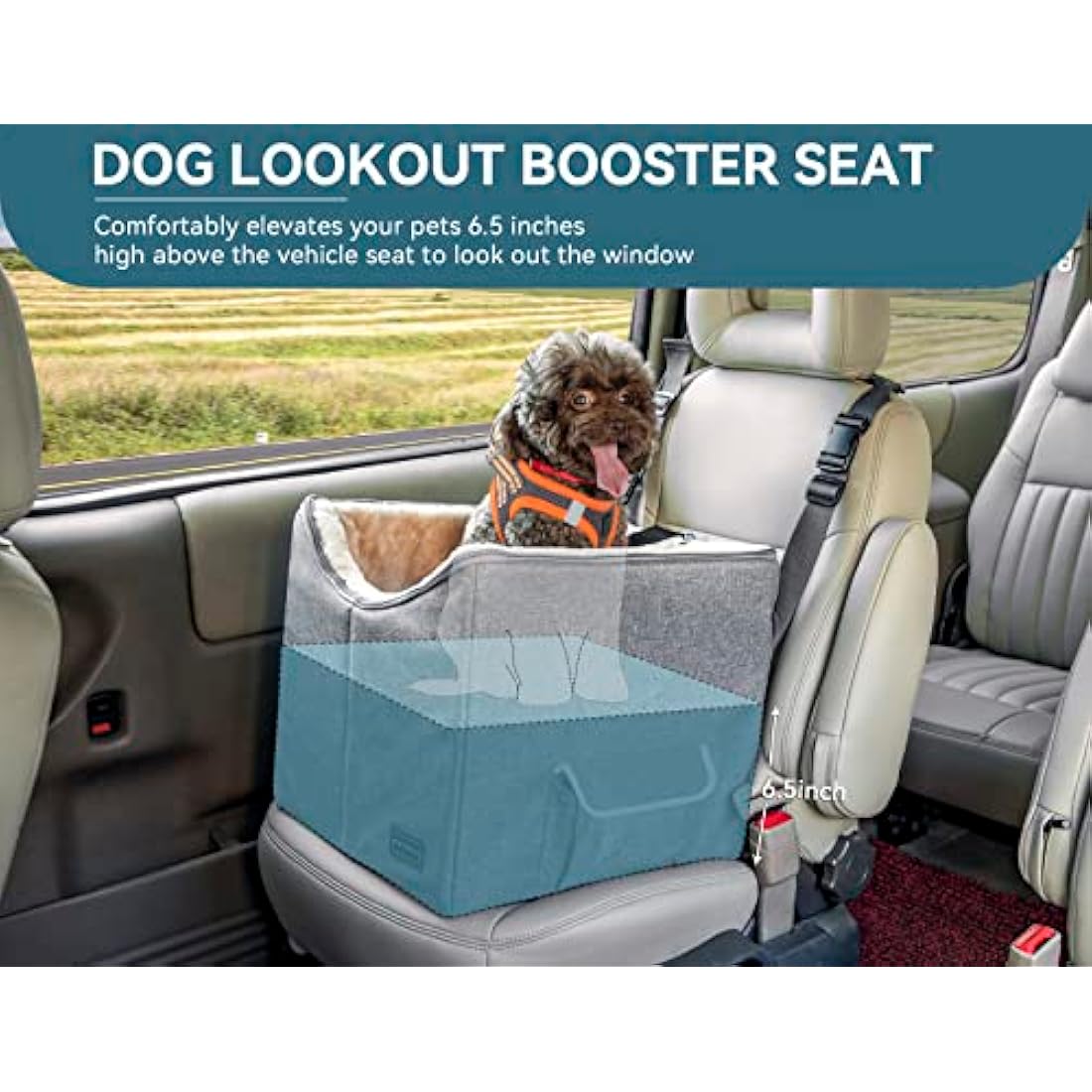 Petsfit Small Dog Booster Car Seat | Washable Portable Pet Travel Seat
