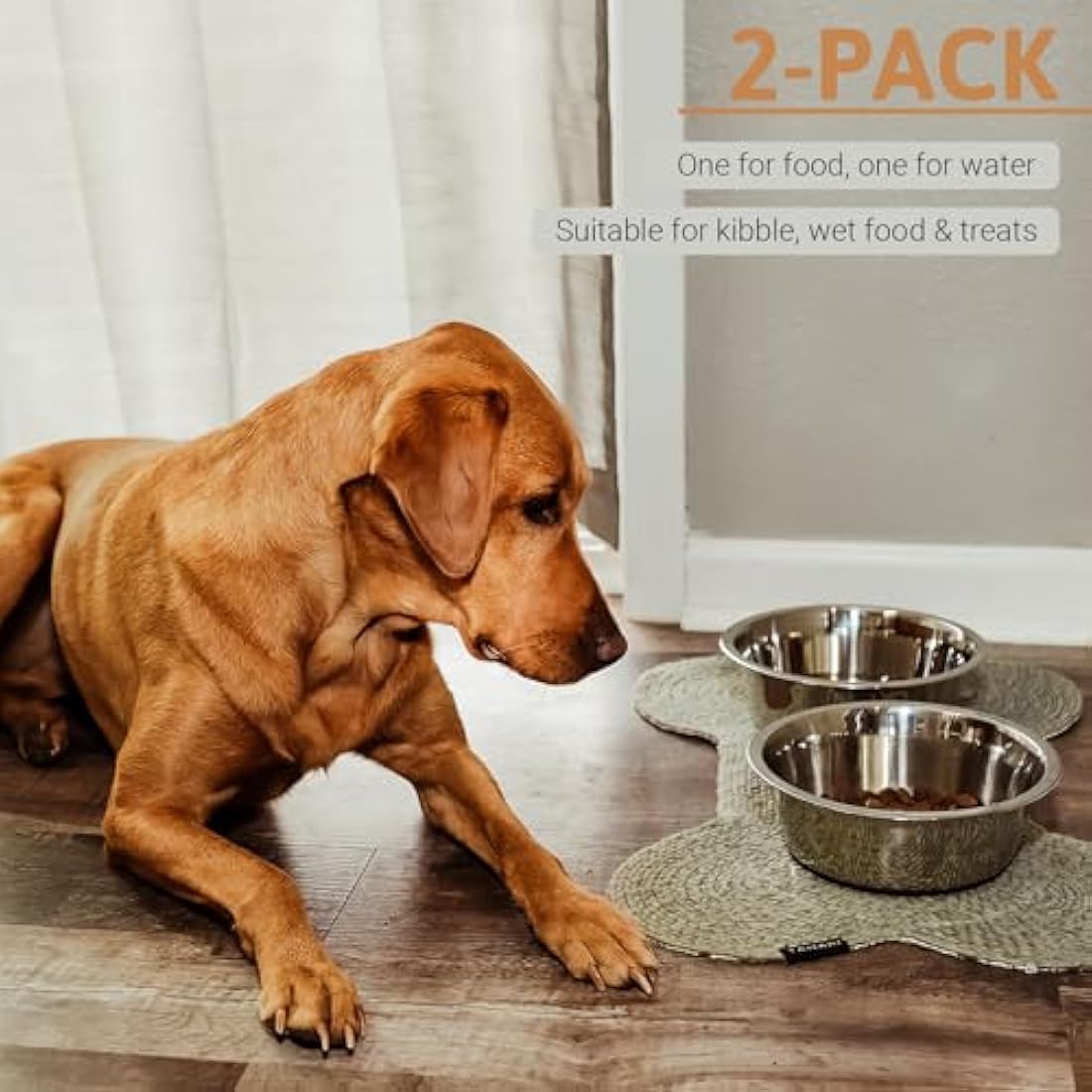 PEGGY11 Stainless Steel Dog Bowls – Nonslip 3.8L Large Pet Feeder, 2 Pack