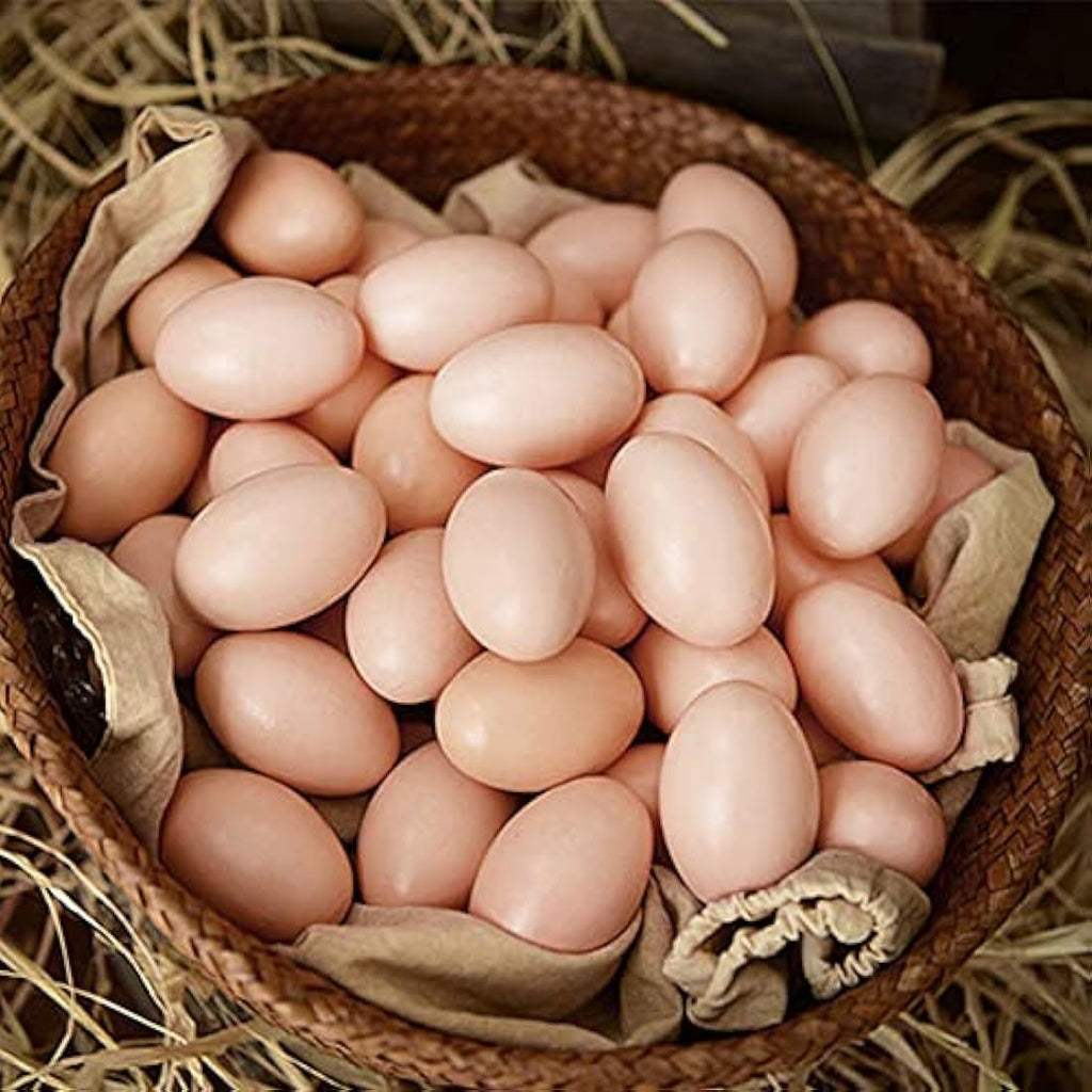 Jolof Store 20Pcs Artificial Chicken Eggs – Realistic Brown Nesting Eggs