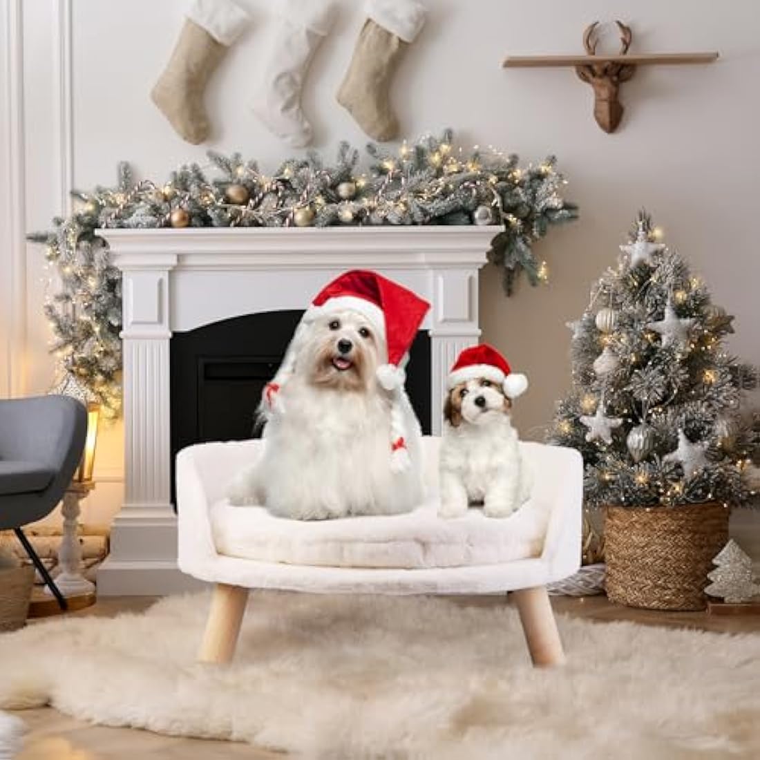 BingoPaw Elevated Cat Sofa Bed | Nordic Wooden Pet Stool with Washable Mat