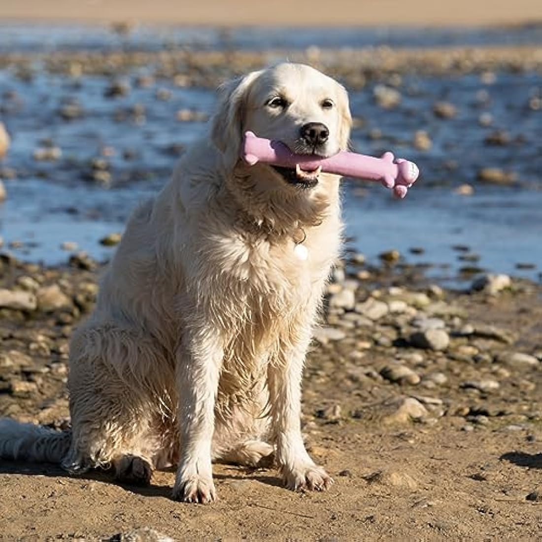 Petface Latex Loofas Squeaky Dog Toy – Soft Chew Training Toy