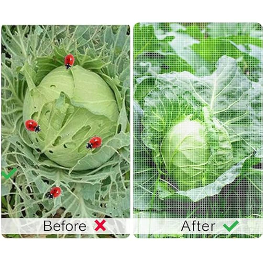 Jolof Store Fine Mesh Garden Insect Netting – UV-Resistant (3 x 15m)