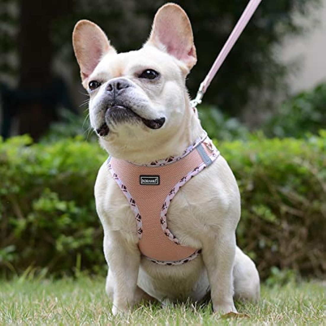 DORAMIO Step-in Dog Harness and Leash Set | Reflective Mesh Vest – XXS