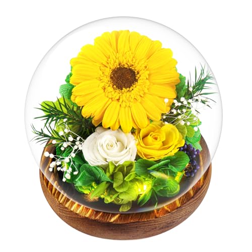 Preserved Sunflower in Glass Dome with LED Lights Gift Box