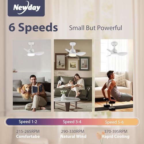 Newday 24" Small White Ceiling Fan with Dimmable LED Light and Remote
