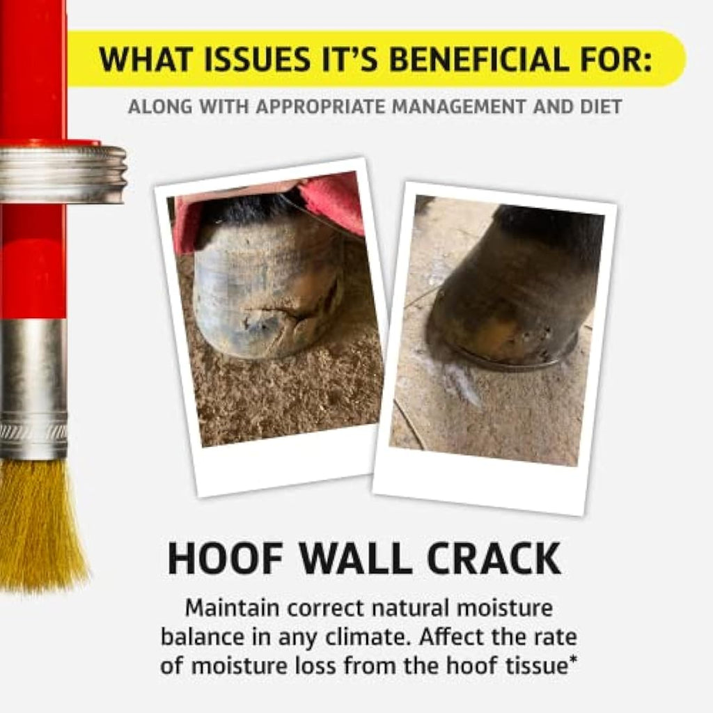 Hoof Doctor All-Natural Hoof Care with Birch Bark Extract - 16 Oz