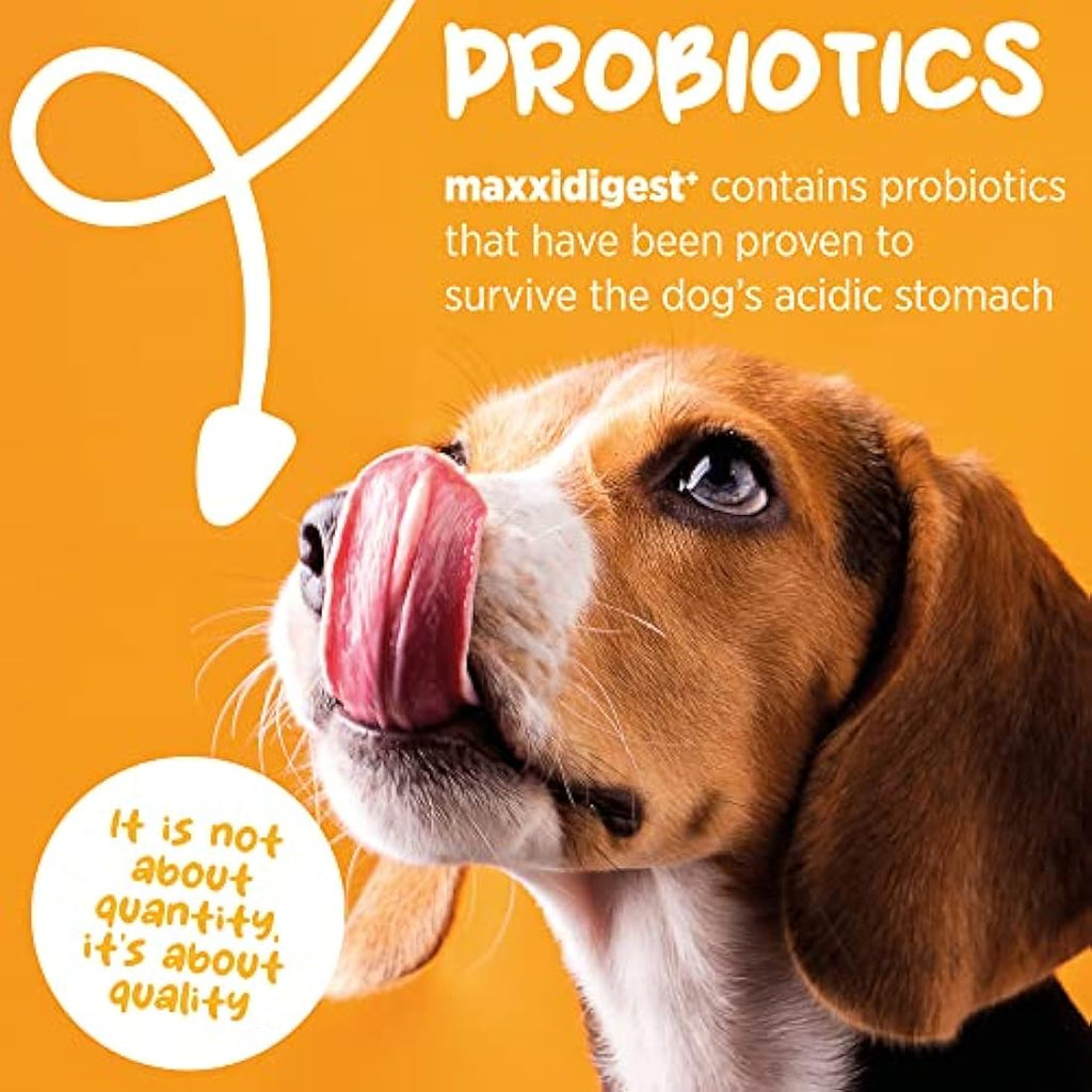 maxxipaws maxxidigest+ Dog Probiotic & Prebiotic Powder Supplement, 200g